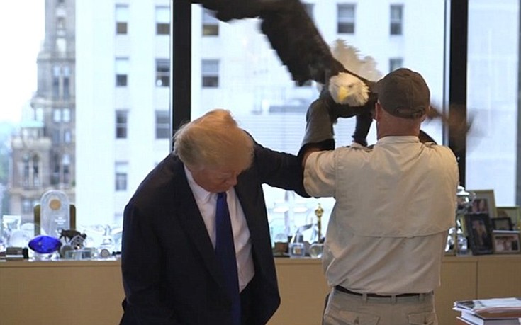 donaldtrump1