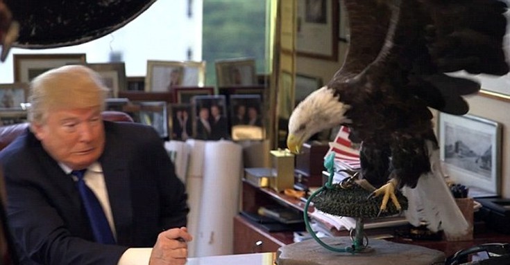 donaldtrump2