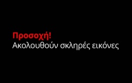 e3947e0ca9618bac59292d7a2739dcc0_S.jpg