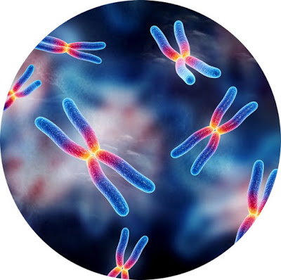 genetics1.jpg