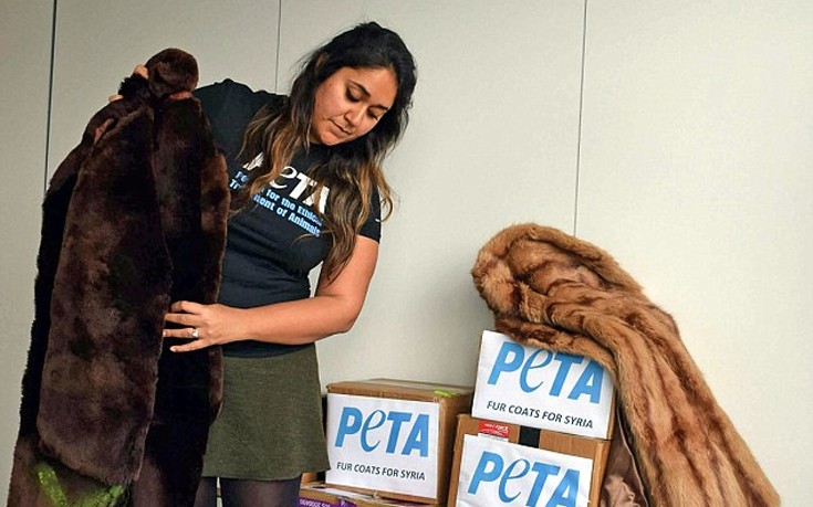 peta0000
