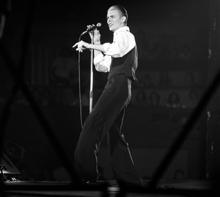 bowiedavid4