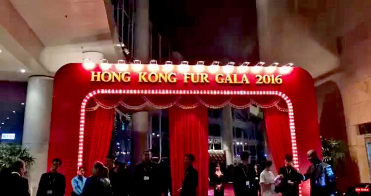 FUR-GALA-HONG-KONG-2016