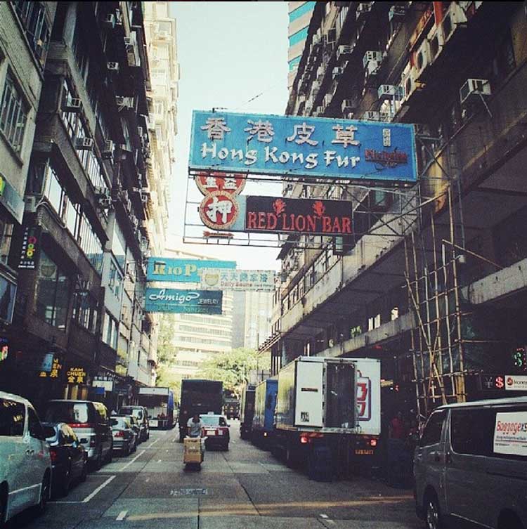 HONG-KONG-FUR