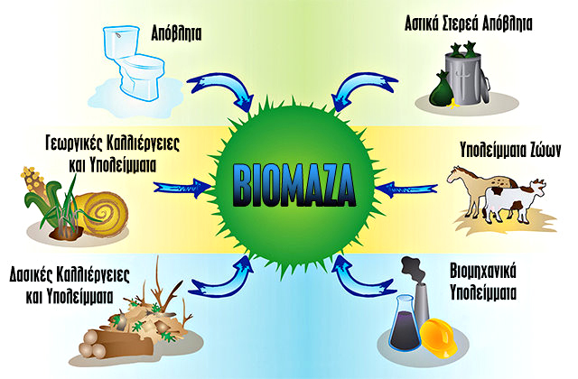 biomaza4.jpg
