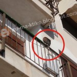 Καστοριά: Άγριο πτηνό σε μπαλκόνι από κάποιον ανεγκέφαλο
