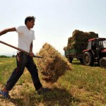 Αγροτικές επενδύσεις ενισχύει ο αναπτυξιακός νόμος – Στις 50.000 ευρώ το ελάχιστο όριο ένταξης