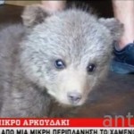 Ρεπορτάζ του αντένα Κύπρου για το αρκουδάκι που βρέθηκε στην Καστοριά