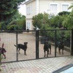 Στο σπίτι όπου έχασε τη ζωή του ο 5χρονος-Οχτώ ροτβάιλερ είχε στην αυλή ο 72χρονος