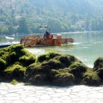 Καθαρισμός της λίμνης: “Βουνά” τα χόρτα