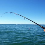 Κανόνες ερασιτεχνικής αλιείας στη λίμνη ΟΡΕΣΤΙΑΔΑ Καστοριάς