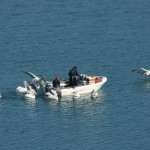 Σύλληψη πέντε Βουλγάρων για παράνομη αλιεία στη λίμνη Πολυφύτου