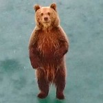 Η αρκούδα της λίμνης από ψηλά – Φανταστικές φωτογραφίες του Γιάννη Τράσια