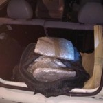 Σύλληψη 4 ατόμων με 16 κιλά κάνναβης σε περιοχή της Καστοριάς