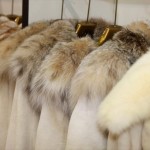 Εξαγωγές στη Ρωσία: Η γούνα στην πρώτη θέση