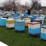 Δράσεις 3.1. Εξοπλισμός για την διευκόλυνση των μετακινήσεων, «Αντικατάσταση κυψελών» & 3.2 «Οικονομική στήριξη της νομαδικής μελισσοκομίας» 2017-2018