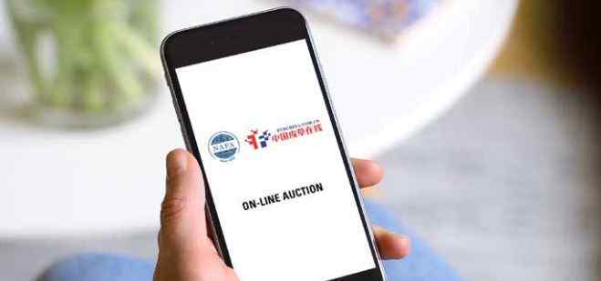 nafa-online-auction