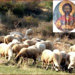Ο άγιος Μηνάς ως προστάτης των κτηνοτρόφων της Καστοριάς