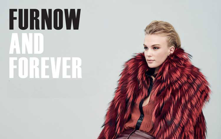 MODERNAMERICAN-fur-now-iff