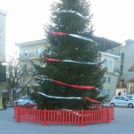 Προετοιμασίες στο Άργος Ορεστικό για το άναμμα του χριστουγεννιάτικου δέντρου