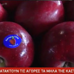 Κατακτούν τις αγορές τα μήλα της Καστοριάς