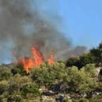 Καστοριά: Έσβησε το πρωί μεγάλη πυρκαγιά στα Σπήλαια
