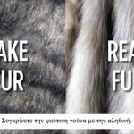 IFF – Το video που λέει την αλήθεια για την πραγματικά οικολογική γούνα