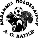 Έτοιμα και τα γήπεδα της Χλόης για το Τουρνουά Ακαδημιών ΑΟ Κάστωρ