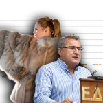 ΤΑ ΑΠΟΤΕΛΕΣΜΑΤΑ ΤΗΣ ΕΡΕΥΝΑΣ ΓΙΑ ΤΟ ΕΙΣΑΓΩΓΙΚΟ ΕΜΠΟΡΙΟ ΤΩΝ ΕΤΟΙΜΩΝ ΓΟΥΝΑΡΙΚΩΝ στις ΗΠΑ