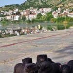 Καστοριά – Πλωτές παγίδες για να πιάσουν και να θανατώσουν τα ελεύθερα μινκ θα τοποθετηθούν στη λίμνη
