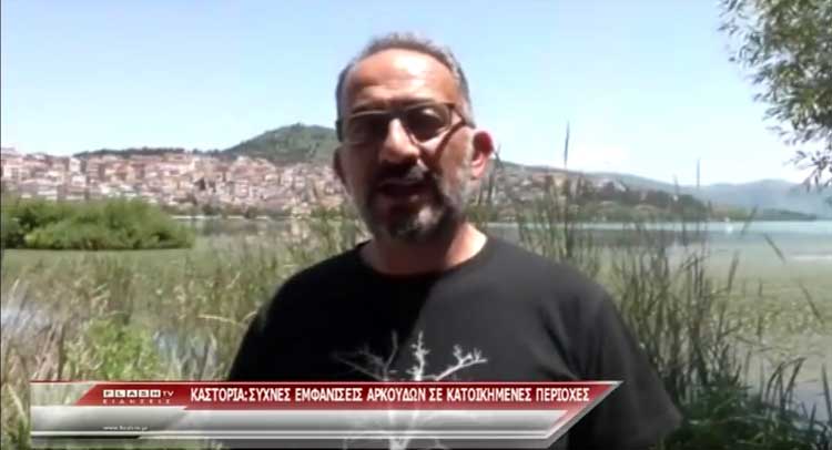 panagiotopoulos