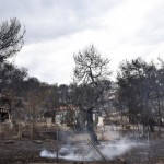 82 οι νεκροί από την πυρκαγιά στην Ανατολική Αττική