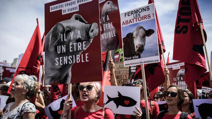 Demonstrators asking for the closure of all slaughterhouses and a stop to animal meat consumption  hold placards as they march in Paris on June 23, 2018.    / AFP PHOTO / Philippe LOPEZ