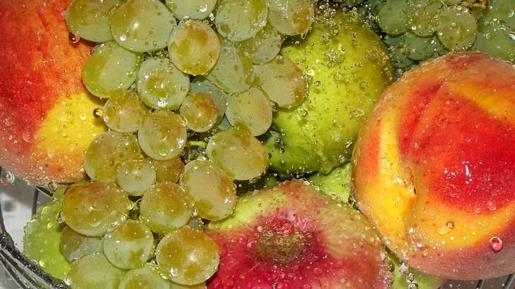 fruit-