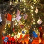 Κατακλύστηκε από κόσμο η κεντρική πλατεία Άργους Ορεστικού κατά τη φωταγώγηση του χριστουγεννιάτικου δέντρου