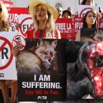 ΑΠΟΚΛΕΙΣΤΙΚΟ: Antifur βίντεο που καταδικάζει την γούνα αποδείχθηκε “στημένο”