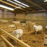 Σεμινάρια του ΕΛΓΟ στο Λιβαδερό και στην Καστοριά για την κτηνοτροφία