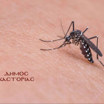 ΔΗΜΟΣ ΚΑΣΤΟΡΙΑΣ: Μέτρα προστασίας από τα κουνούπια – Πως μεταδίδεται η λοίμωξη από ιό του Δυτικού Νείλου;