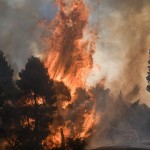 Πύρινη κόλαση στην Εύβοια: Καίγονται σπίτια στο Μακρυμάλλη – Εκκενώθηκαν 2 χωριά