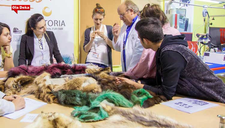 fur-workshop