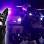 Σκύλος δάγκωσε Καστοριανό αστυνομικό κατά τη διάρκεια καταδίωξης