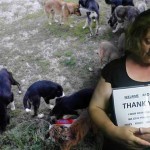 Καστοριά: Έκκληση για τη φροντίδα των 35 σκυλιών της ζητάει η Αναστασία Πρωτόγερου που τραυματίστηκε σε εργατικό ατύχημα