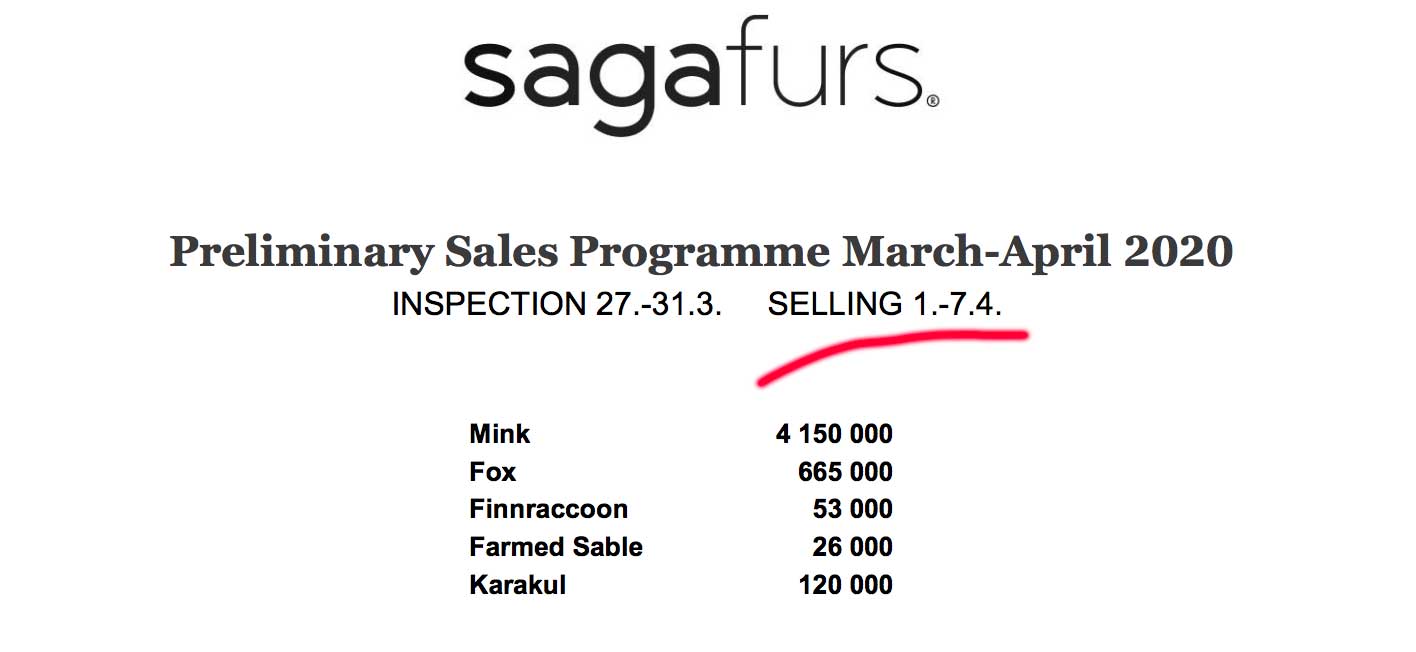 saga-auction
