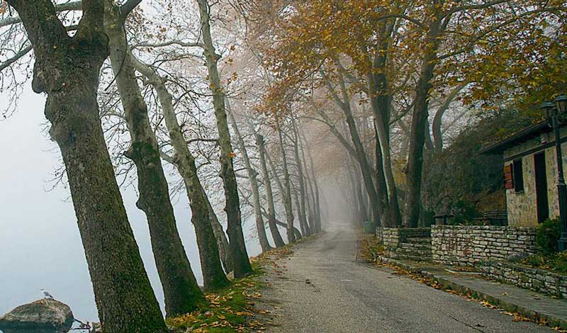 kastoria