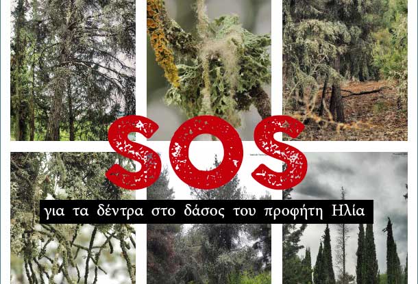 SOS-DENTRA-PROFITIS-ILIAS