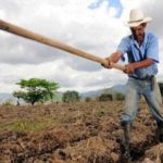 Το ΑΚΚΕΛ αποκαλύπτει ολόκληρη την αλήθεια για τα «5000€ ανά αγρότη»