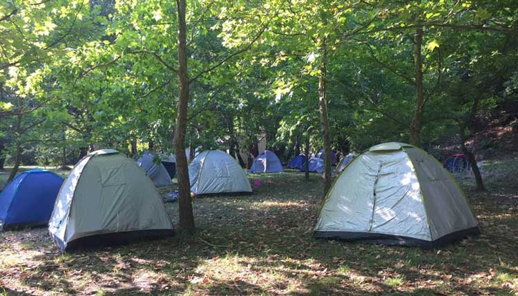 camping-nestorio