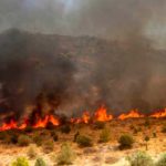 Δήμος Άργους Ορεστικού: Υποχρεωτικός ο καθαρισμός των ιδιωτικών οικοπέδων για την αποτροπή κινδύνου πυρκαγιάς μέχρι τις 30 Απριλίου