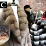 BBC: «Η βιομηχανία γούνας αντιμετωπίζει αβέβαιο μέλλον λόγω Covid»