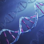 Σημαντική ανακάλυψη: Έλληνες ερευνητές εντόπισαν πρωτεΐνη που σχετίζεται με γήρανση και καρκινογενέσεις